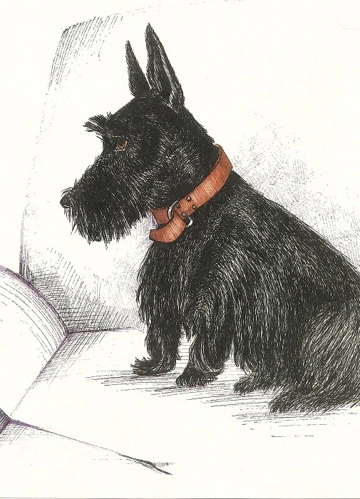 SCOTTISH TERRIER RYTA PRINT OF PAINTING DOG ART SCOTTIE 5x7 SKETCH PORTRAIT FOLK - Image 1 of 1