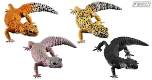 Bandai Ikimono Encyclopedia Advance Leopard Gecko 4 Types Set No Capsule 170mm - Picture 1 of 21