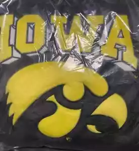 Iowa Hawkeyes NCAA 18" x 18" Square Plush Pillow - Picture 1 of 4