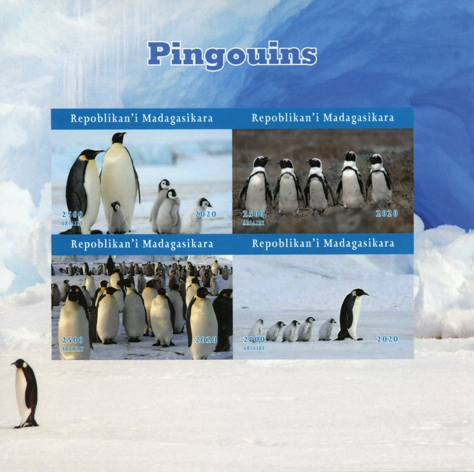 Madagascar Birds on Stamps 2020 MNH Penguins Emperor Penguin 4v IMPF M/S - Image 1 of 1