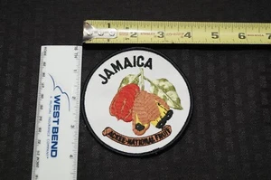Vintage JAMAICA Ackee-National Fruit Embroidered Patch Nice! - Picture 1 of 2