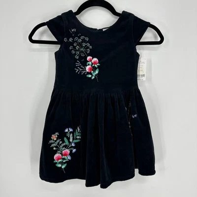 Carters Velvet Embroidered Floral Dress Fit & Flare Toddler Girls Size 4T Black - Image 1 of 4