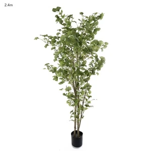 NEW Florabelle Ginko Tree Potted 2.4m - Picture 1 of 1
