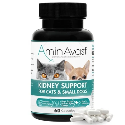 Small Dogs & Cat Kidney Support - Promotes Healthy Kidney Support in Cats & S... - Image 1 of 4
