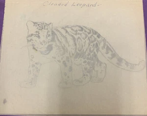From Estate Of Margery Stocking Hart Drawing Clouded Leopard On Tracing Paper U8 - Picture 1 of 4