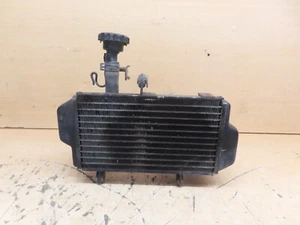 2022 Zontes ZT 125-U EU5, 17k Miles - Radiator - Picture 1 of 6
