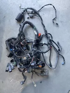 Kawasaki Gtr1400 Wiring Harness Main concours ZG1400 2008-10 Oem 26031-0743. ABS - Picture 1 of 7