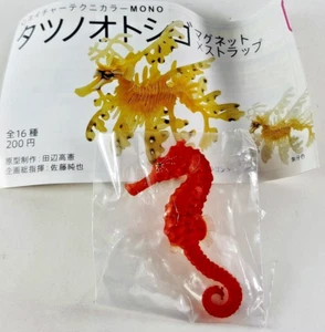 Seahorse Magnet Real Figure Ooumiuma Kitan Club From Japan - Picture 1 of 5