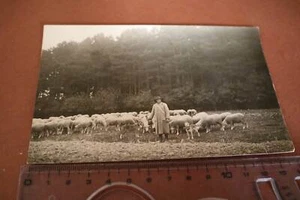 tolles altes Foto - Schäfer mit Schafherde und Hirtenhund (2) 20-30er Jahre ? - Bild 1 von 4