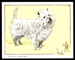 Gallaher Dogs (Large) 1934 - Cairn Terrier No. 4 - Picture 1 of 2