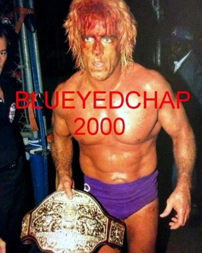 RIC FLAIR WRESTLER 8 X 10 WRESTLING PHOTO NWA WCW WWF - Image 1 of 1