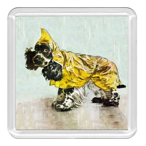 Cocker Spaniel in The Rain Dog Acrylic Coaster Novelty Drink Cup Mat Great Gift - Picture 1 of 1