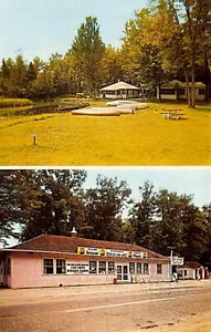 Roscommon MI. North Cut Store & Grill Pepsi Farbbeschilderung, Duo Ansicht, Postkarte - Bild 1 von 2