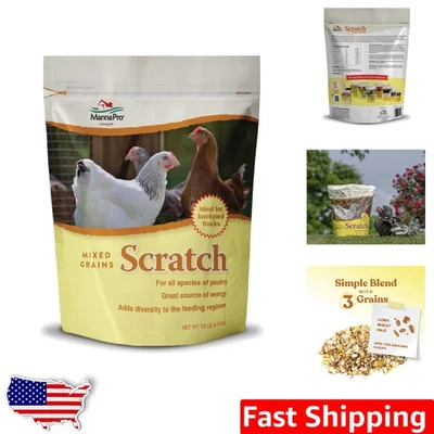 Ultimate Chicken Scratch Feed 10 lb - Tratamiento multigrano rico en nutrientes para aves de corral Foto 1 de 4