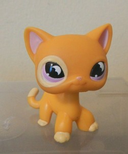 Littlest Pet Shop LPS Authentic Short Hair Kitty Cat #855 Yellow Orange Moon Eye
