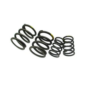 Exhaust Inlet Valve Springs For YX 150cc 160cc Engine Pit Dirt Bike - Bild 1 von 8
