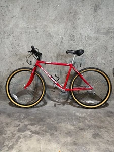 Vintage 1990 17 in Diamondback Apex Mountain Bike - Picture 1 of 22