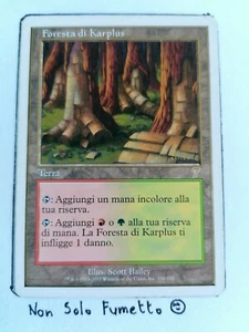 MTG FORESTA DI KARPLUS - 7ED - KARPLUSAN FOREST - EXCELLENT - ITALIANO - Picture 1 of 1