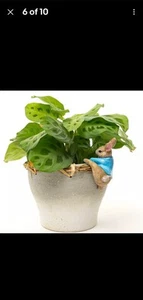 Pot Buddies Beatrix Potter Rabbit Figure Plant Pot Hanger Handmade Ornament - Picture 1 of 5