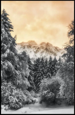 Serene Winter Landscape Nature National Park Poster - Image 1 of 4