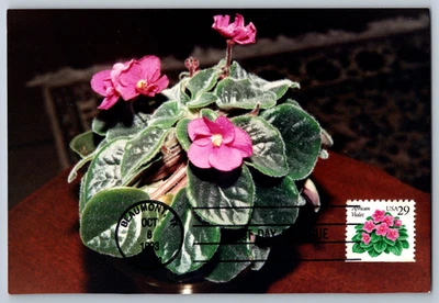 #2486 African Violet FDC Maxi Card - Image 1 of 2