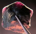 332 Carat Alexandrite Natural Rough Colectors Crystal Mineral Gem F12
