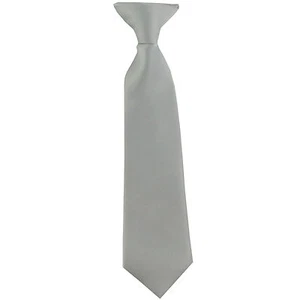 New Kid's Boy's clip on pre tied Necktie US Size wedding party formal Silver - Bild 1 von 2