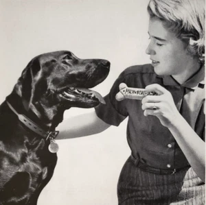 PRINT AD Milk Bone 1959 10.5x13 Dog Biscuits Treats Black Labrador Retriever - Picture 1 of 2