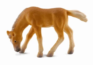 CollectA 88311 Haflinger Foal Grazing Horse - NIP - Picture 1 of 1