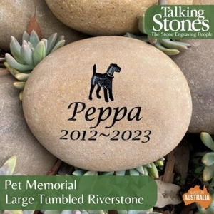 Tumbled River Stone Pet Memorial - Personalised Engraved - Picture 1 of 20