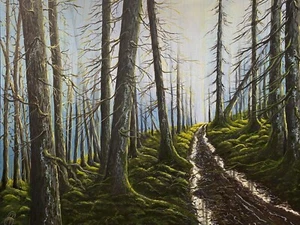 Ölbild Ölgemälde Unikat handgemalt Wald Romantik Natur Bäume 40x50 cm mit Rahmen - Bild 1 von 2