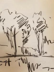 JOSE TRUJILLO - Original Charcoal Paper Sketch Drawing 12" - Modern Landscapes - Picture 1 of 8