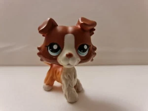 Authentic Littlest Pet Shop #1542 Red and White Collie with blue eyes LPS - Bild 1 von 5