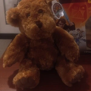 Chelsea Teddy Bear Plush Brown stuffed animal Extremely Soft Coat  - Picture 1 of 7