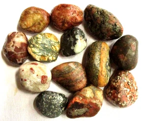 13 Rough Michigan Beach Stones - 1.63+ Kgs - 3.5+ lbs - Pudding - Thomsonite - Picture 1 of 2