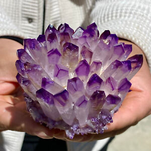 422G  Newly discovered purple phantom quartz crystal cluster mineral sample