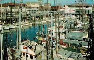 Postal de la flota pesquera de San Francisco California CA pm 1960 - Imagen 1 de 2