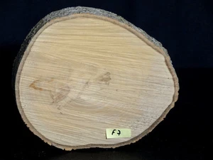 Pappel ,Baumscheibe,Holzscheibe,Floristik,Basteln,Tisch 23x20x3cm - Bild 1 von 2