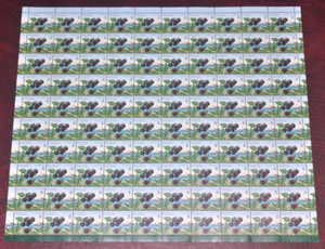 Canada 1353ii/iv VF MNH pane on Coated Papers with Blue Thread variety CV $49.75 - Picture 1 of 2