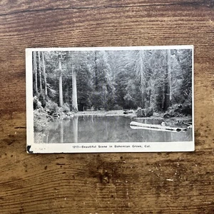 Beautiful Scene BOHEMIAN GROVE Sonoma County, CA 1919 Vintage Postcard - Picture 1 of 2