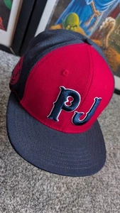 Pearl Jam Mütze Kappe Boston Fenway Park 2016 Tour BRANDNEU ungetragen Baseball Red Sox - Bild 1 von 11