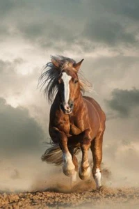 Wild Chesnut Draft Horse Running Photo Art Print Poster 24x36 inch - Picture 1 of 1