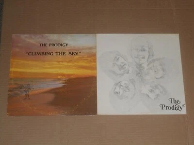 PRODIGY lot 2x SIGNED LP self titled CLIMBING THE SKY private press lounge psych - Image 1 of 3