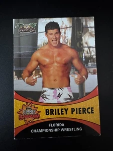 Briley Pierce 2011 FCW Florida Championship Wrestling Card Summer Slamarama - Bild 1 von 3