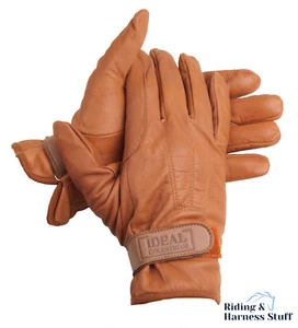 Ideal Equestrian Standard Leather Gloves - Picture 1 of 1