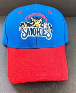 Neu mit Etikett Outdoor Cap Tennessee Smokies Minor League Strapback Baseballcap - Bild 1 von 5