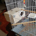 Bird House Cage Natural Parakeet Nesting Box Transparent Wooden Acrylic