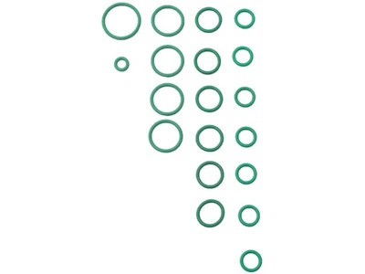 For 1996-1999 Freightliner FL112 A/C System O-Ring and Gasket Kit 13281BCRZ 1997 Foto 1 de 2