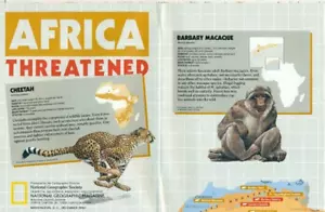 VINTAGE - NATIONALE GEOGRAFISCHE KARTE - AFRIKA BEDROHT - 1990 - Bild 1 von 1