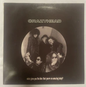 Crazyhead What Gives You The Idea 3 Track Vinyl 12" Single (PS) Rock - Picture 1 of 3